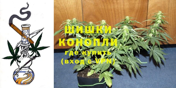 дурь Арсеньев