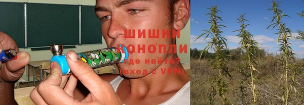 дурь Арсеньев