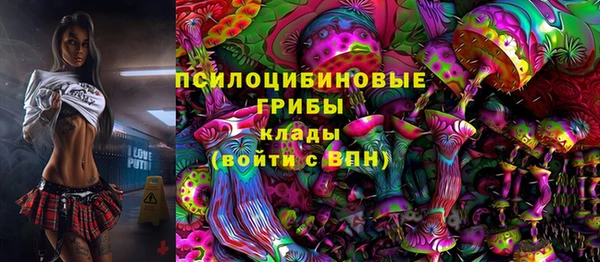 дурь Арсеньев