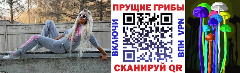 Псилоцибиновые грибы прущие грибы  площадка состав  Первомайск 